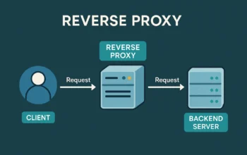 Nginx reverse proxy guide